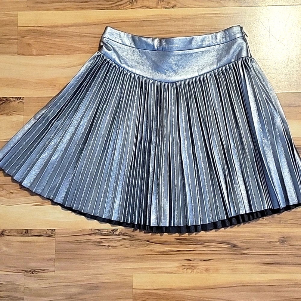 Zara metallic skirt